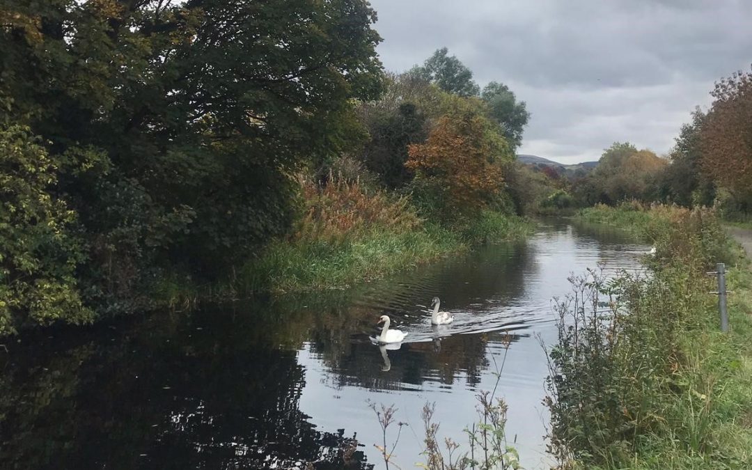 Improving the rowing stretch of the Union Canal