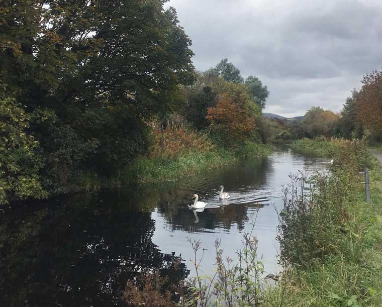 Improving the rowing stretch of the Union Canal